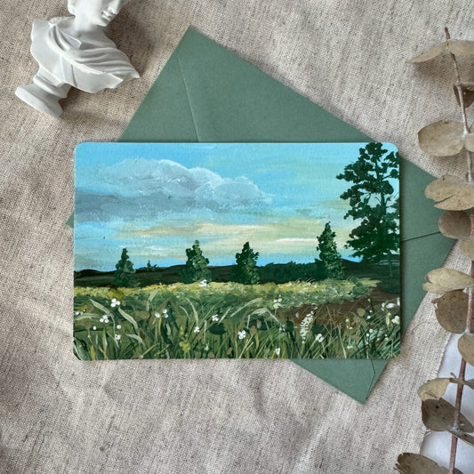 Fields under the sky