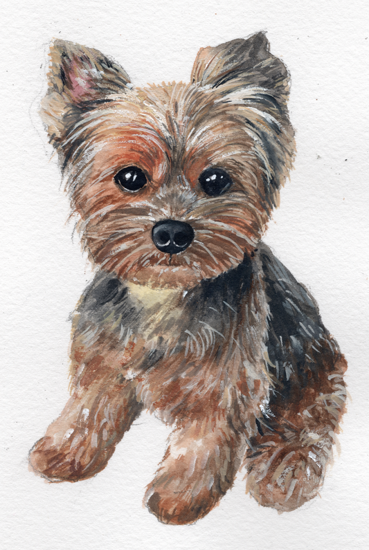 Custom Dog Pet Portrait