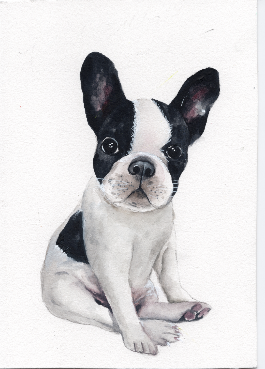 Custom Dog Pet Portrait