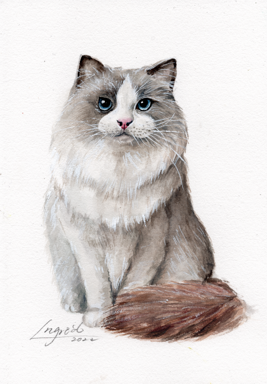 Custom Cat Pet Portrait