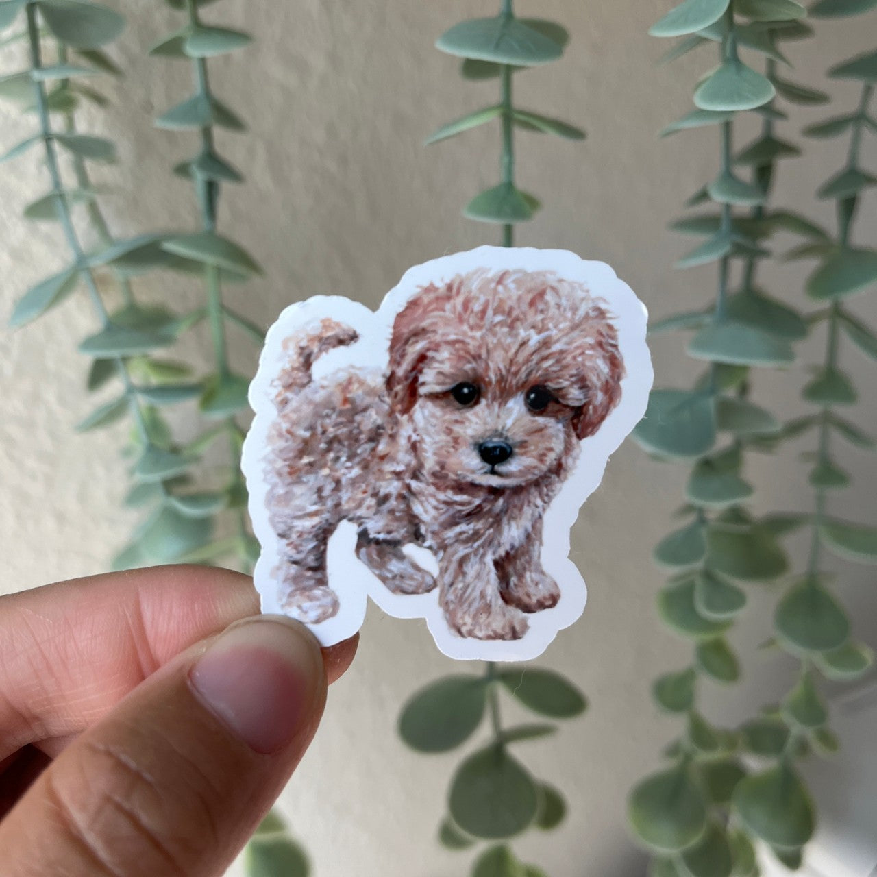 Poodle Puppy Dog Vinyl Sticker