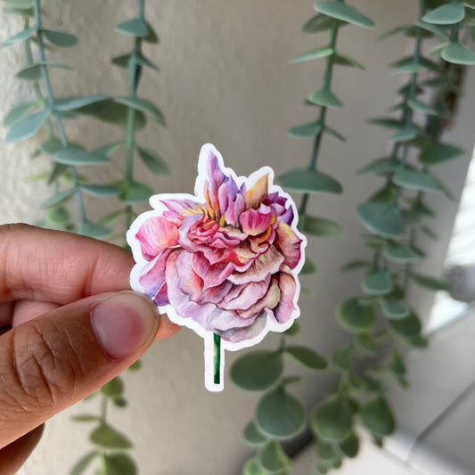 Pink Rose Vinyl Sticker