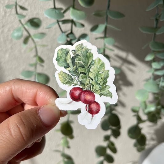 Turnip Vinyl Sticker