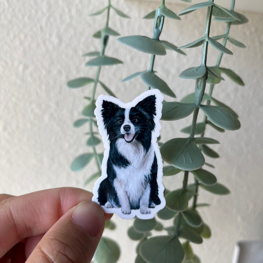 Border Collie Dog Vinyl Sticker