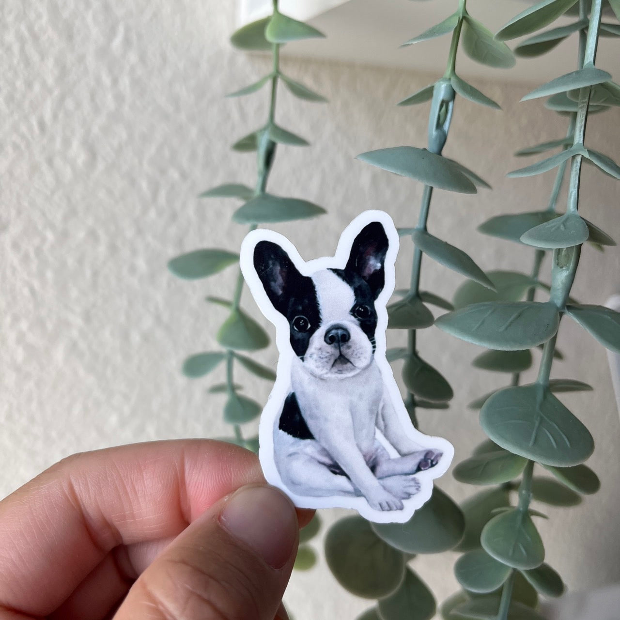French Bulldog Frenchie Vinyl Sticker
