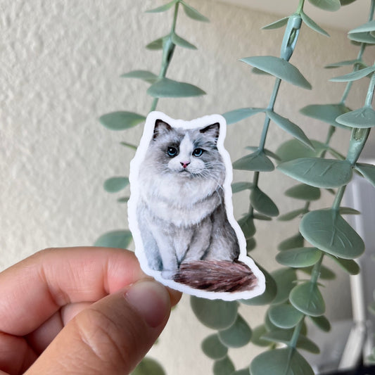 Ragdoll Cat Vinyl Sticker