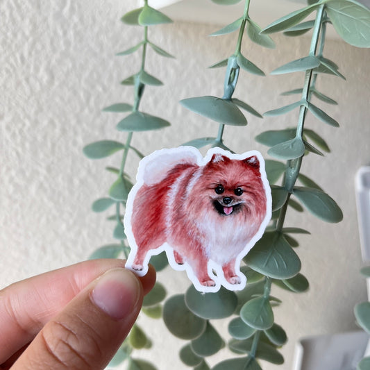 Pomeranian Puppy Dog Vinyl Sticker