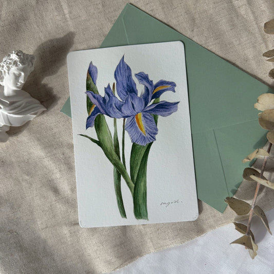 Purple Iris