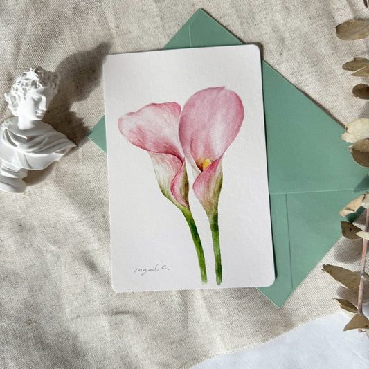 Calla Lily