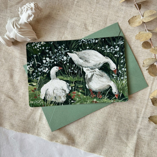 Gentle Companions