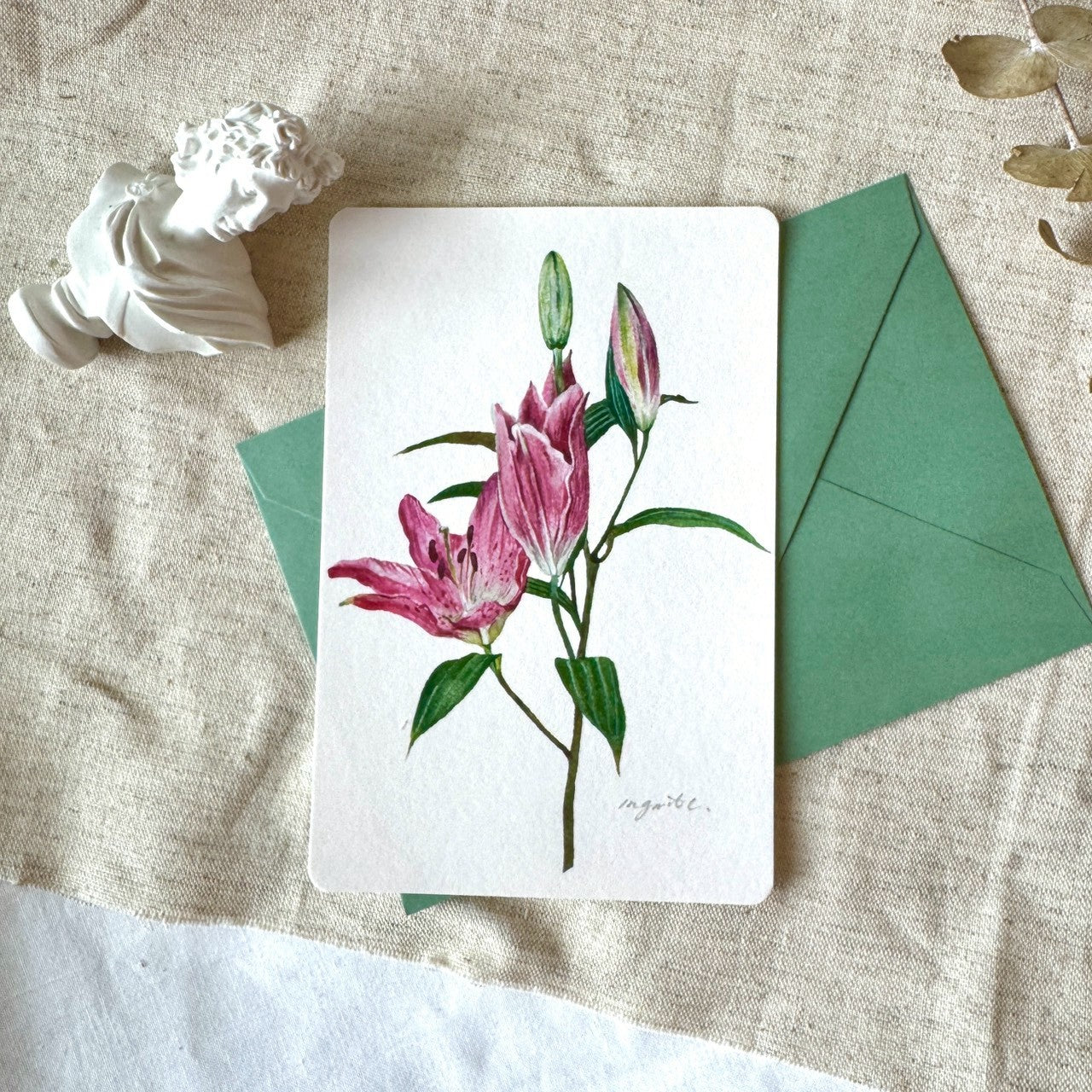 Pink Lily