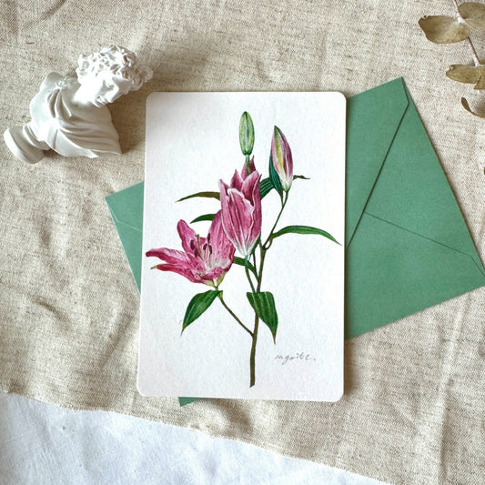 Pink Lily